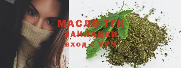 молекула духа Пестово