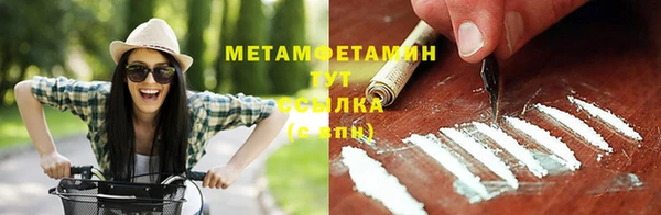 молекула духа Пестово