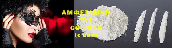 молекула духа Пестово