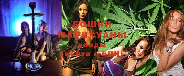 молекула духа Пестово