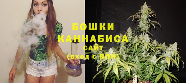 молекула духа Пестово