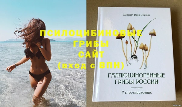 молекула духа Пестово