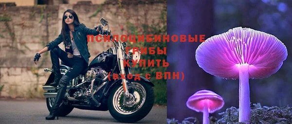 молекула духа Пестово