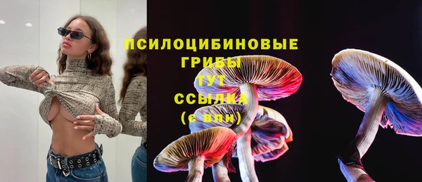 СК Переславль-Залесский
