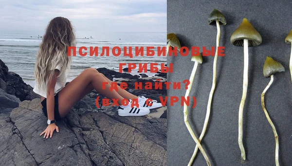 молекула духа Пестово