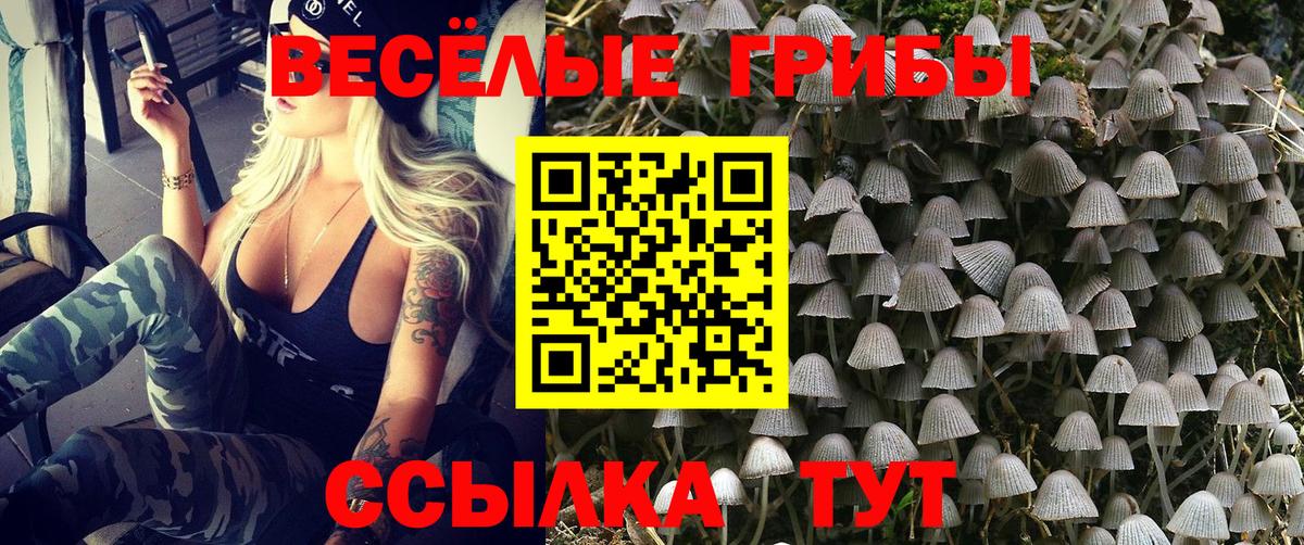 Псилоцибиновые грибы Cubensis Бугуруслан