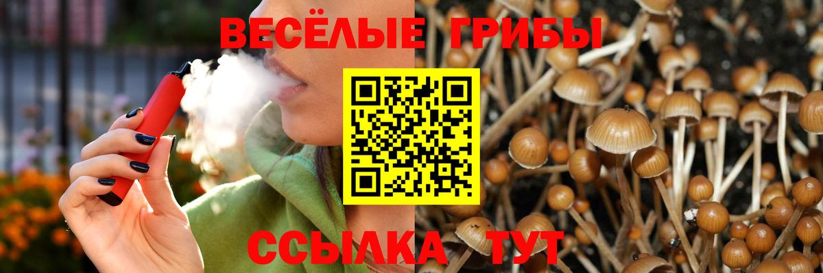 Галлюциногенные грибы GOLDEN TEACHER  Галлюциногенные грибы Psilocybine cubensis  Бугуруслан 