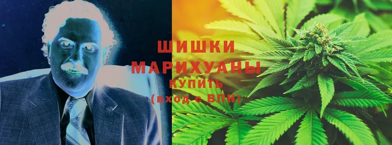 Конопля White Widow  Бугуруслан 